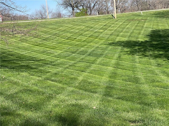 24445 E Truman Rd, Independence, MO 64056 - view of green lawn