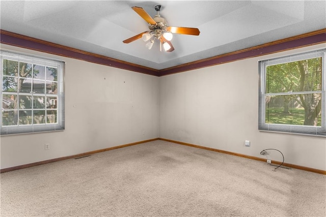 2117 Parker Ct, Blue Springs, MO 64015 - carpeted spare room with plenty of natural light, a raised ceiling, and ceiling fan