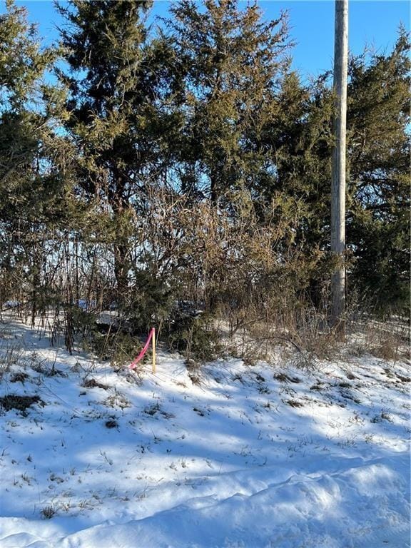 LOT2 124th St, Excelsior Springs, MO 64024 - photo 4