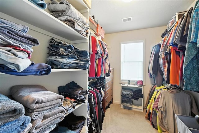 1016 SE Forest Ridge Ct, Blue Springs, MO 64014 - walk in closet featuring light carpet