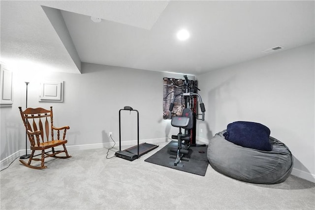 1016 SE Forest Ridge Ct, Blue Springs, MO 64014 - workout area featuring baseboards and carpet