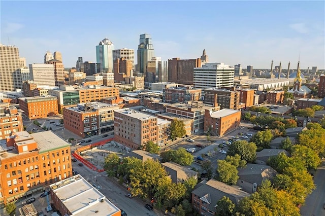 435 W 9th St Unit 204, Kansas City, MO 64105 - skyline view