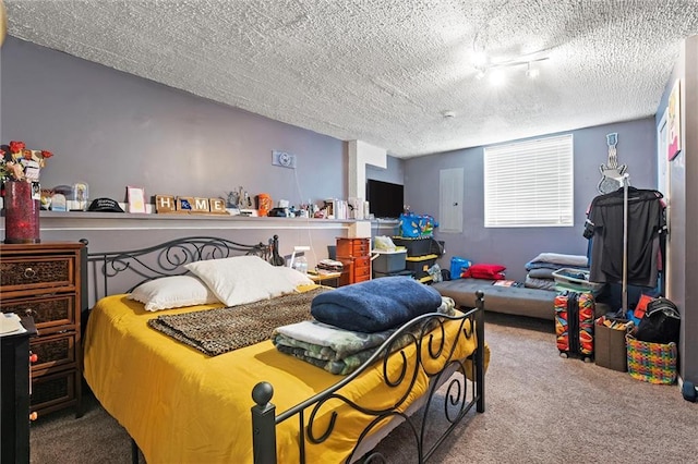 1005 Granada Dr, Raymore, MO 64083 - bedroom featuring carpet flooring, a textured ceiling, and electric panel