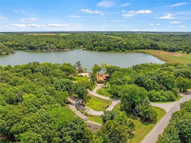 4815 Cheyenne Ln, Mclouth, KS 66054 - bird's eye view of a heavily wooded area and a large body of water