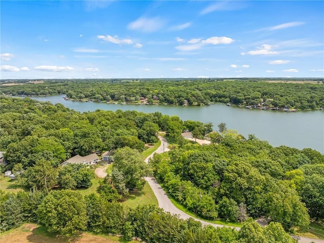 4815 Cheyenne Ln, Mclouth, KS 66054 - aerial view of a large body of water