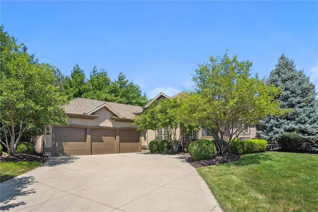 10220 N Prospect Ave, Kansas City, MO 64155 - photo 3