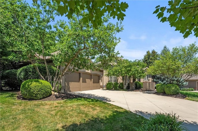 10220 N Prospect Ave, Kansas City, MO 64155 - photo 4