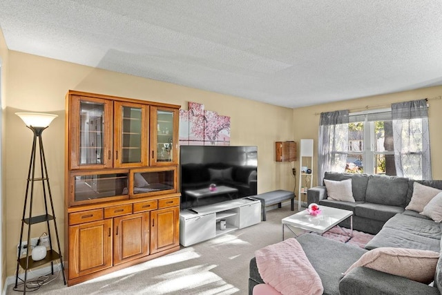 820 S Virginia Ln, Olathe, KS 66061 - living room with light colored carpet and a textured ceiling