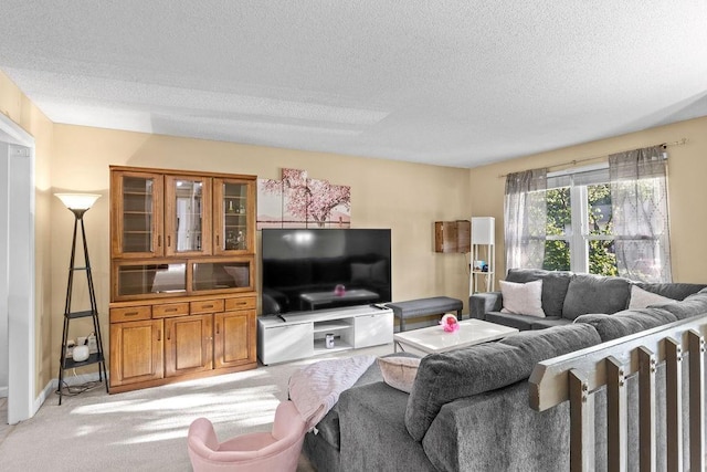 820 S Virginia Ln, Olathe, KS 66061 - living room featuring a textured ceiling and light colored carpet