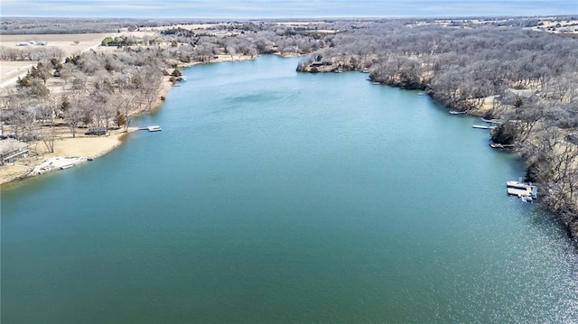 45 Timber Lake Rd, Lane, KS 66042 - photo 50