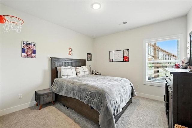 16055 NW 123rd St, Platte City, MO 64079 - photo 41