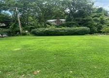 1907 N Grove Dr, Independence, MO 64058 - photo 4