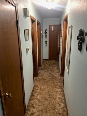 1907 N Grove Dr, Independence, MO 64058 - photo 9