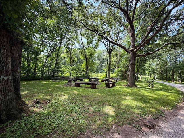 24604 E 327th St, Harrisonville, MO 64701 - view of property's community featuring a yard