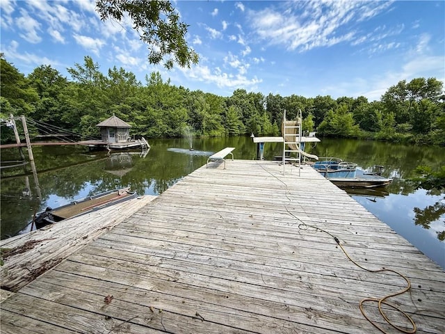 24604 E 327th St, Harrisonville, MO 64701 - dock with a water view and a view of trees