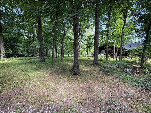 24604 E 327th St, Harrisonville, MO 64701 - view of yard