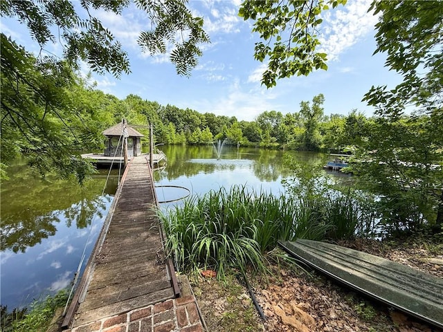 24604 E 327th St, Harrisonville, MO 64701 - dock area with a water view and a view of trees