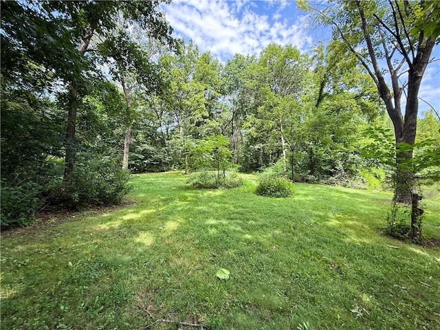 24604 E 327th St, Harrisonville, MO 64701 - view of grassy yard