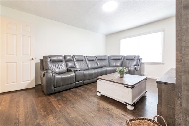 12408 Monroe Ave, Grandview, MO 64030 - living area featuring dark wood-type flooring