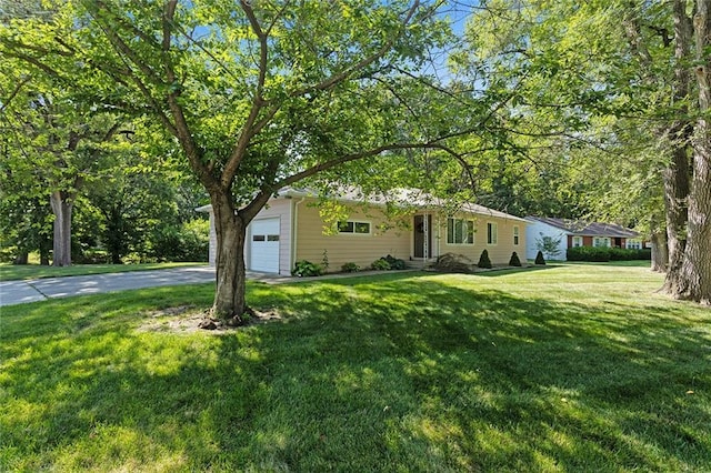 442 Circle Dr, Liberty, MO 64068 - photo 16