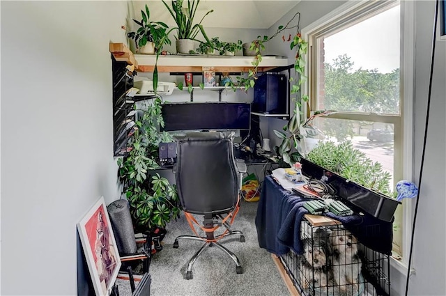 5300 NW 58th Ter, Kansas City, MO 64151 - carpeted office with lofted ceiling