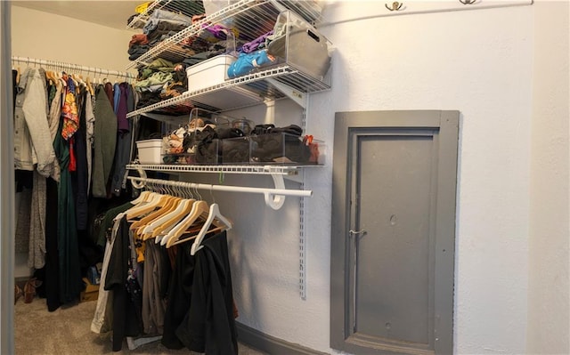 2026 E 70th Ter, Kansas City, MO 64132 - walk in closet featuring carpet floors