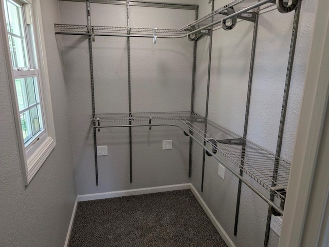 2205 S Owing St, Oak Grove, MO 64075 - walk in closet with dark colored carpet