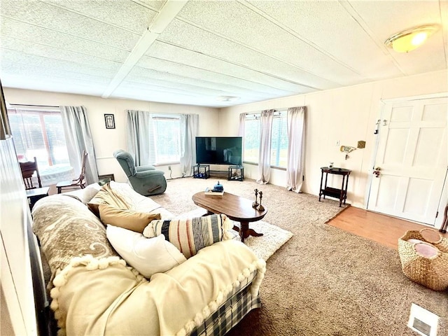 14444 E Quail Rd, Nevada, MO 64772 - view of carpeted living room