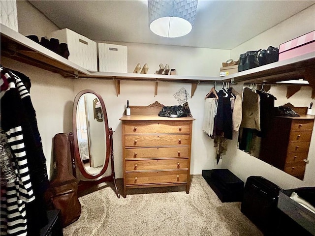 14444 E Quail Rd, Nevada, MO 64772 - walk in closet with carpet