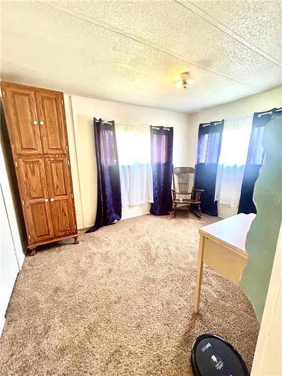 14444 E Quail Rd, Nevada, MO 64772 - bedroom featuring light colored carpet and multiple windows