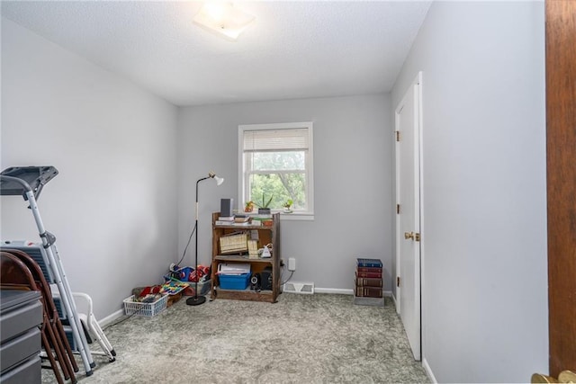 303 W S St, Spring Hill, KS 66083 - exercise room with carpet floors and a textured ceiling