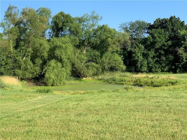 8005 S Buckner Tarsney Rd, Oak Grove, MO 64075 - photo 60