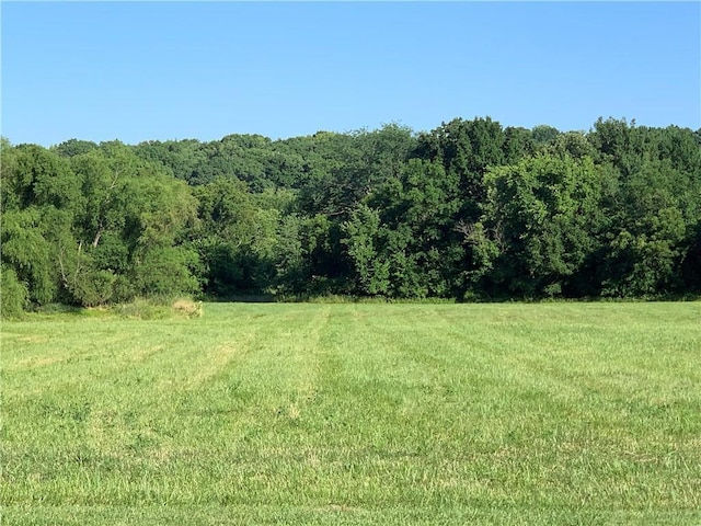 8005 S Buckner Tarsney Rd, Oak Grove, MO 64075 - photo 62