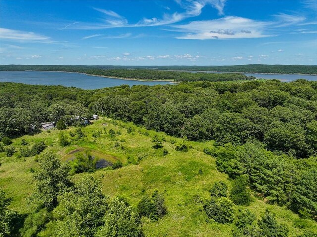 11270 NE 1351st Rd, Osceola, MO 64776 - photo 12