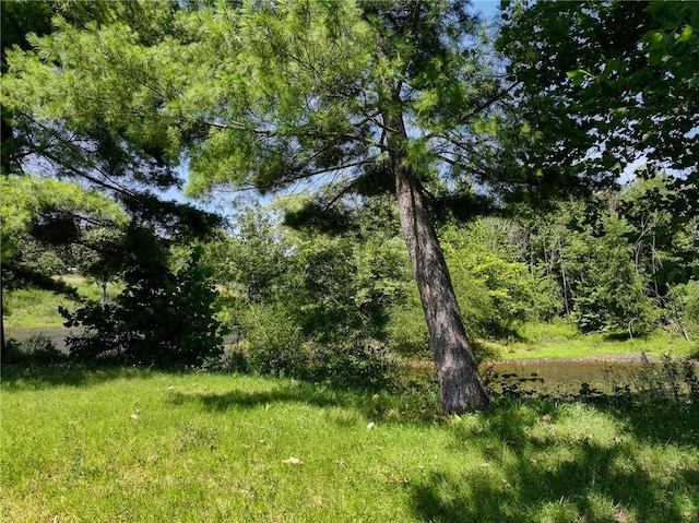 11270 NE 1351st Rd, Osceola, MO 64776 - photo 49