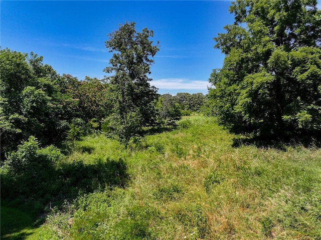 11270 NE 1351st Rd, Osceola, MO 64776 - photo 54
