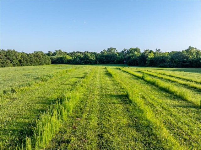 23058A 160th St, Altamont, MO 64620 - photo 40
