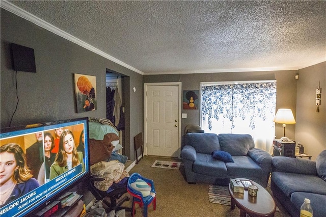 5521-3 Wabash Ave, Kansas City, MO 64130 - living room with crown molding, carpet flooring, and a textured ceiling
