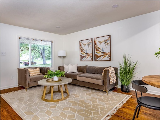 10013 Benson St, Overland Park, KS 66212 - living room featuring light wood-type flooring
