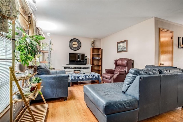 3021 Appleton Ave, Independence, MO 64052 - living room with light wood-style floors