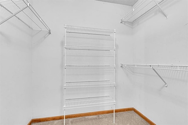 21213 W 51st Ter, Shawnee, KS 66218 - walk in closet featuring carpet flooring