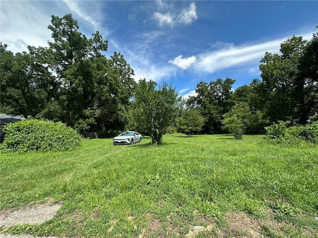 3009 N 33rd St, Kansas City, KS 66104 - view of yard