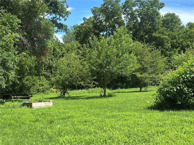 3009 N 33rd St, Kansas City, KS 66104 - view of yard