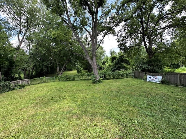 3009 N 33rd St, Kansas City, KS 66104 - view of yard