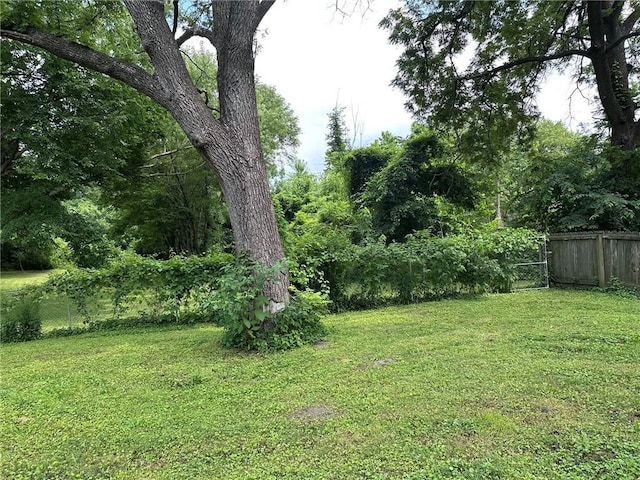 3009 N 33rd St, Kansas City, KS 66104 - view of yard