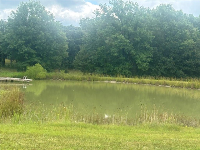 5298 Chihuahua Rd, Higginsville, MO 64037 - photo 6