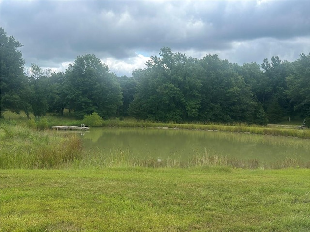 5298 Chihuahua Rd, Higginsville, MO 64037 - photo 7