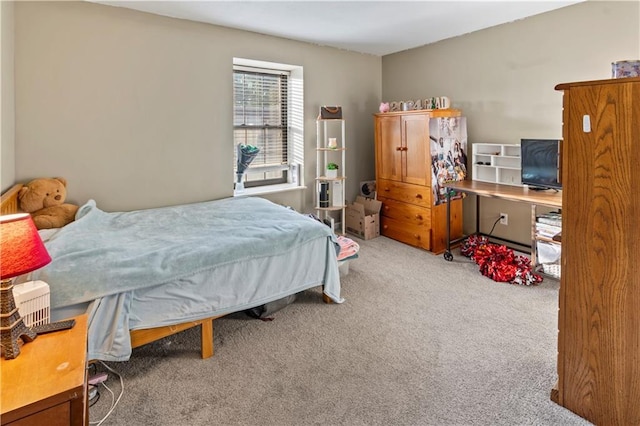 27 W Bannister Rd, Kansas City, MO 64114 - bedroom featuring carpet
