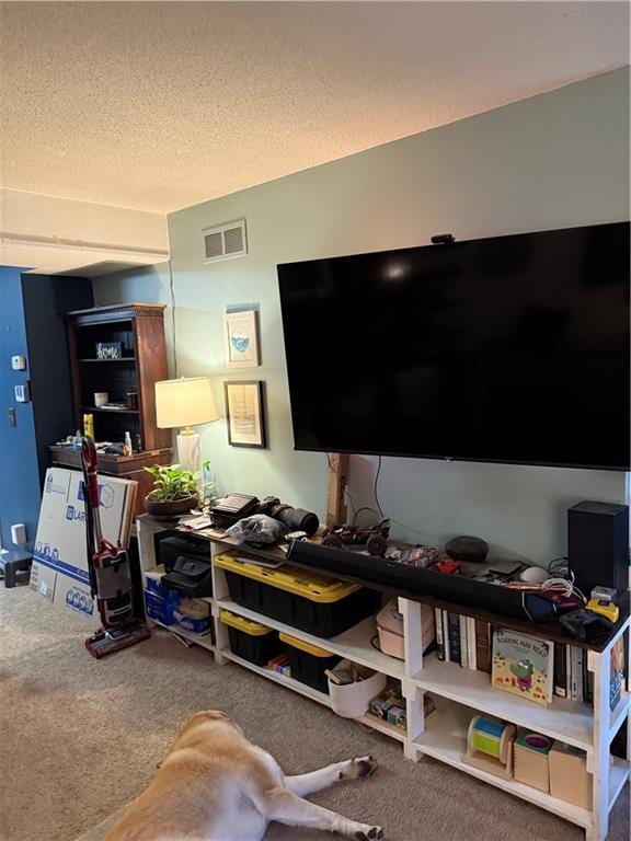 1616 E Elm Ter, Olathe, KS 66062 - carpeted living room with a textured ceiling