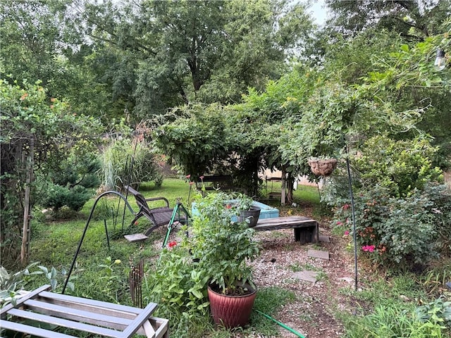 1616 E Elm Ter, Olathe, KS 66062 - view of yard
